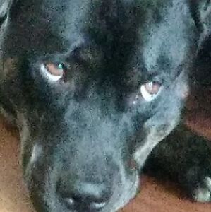 Meet your Posher, Asher